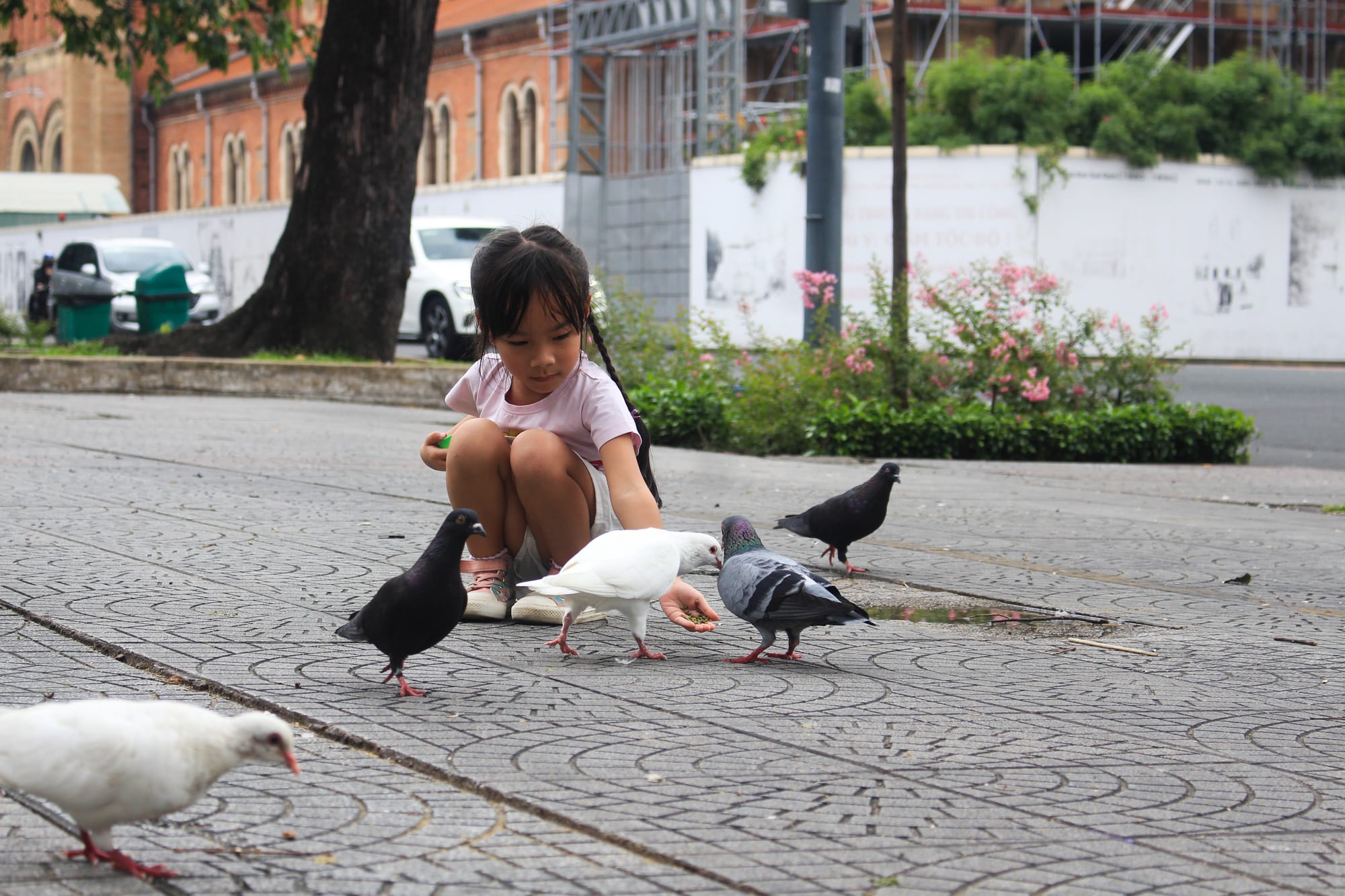 The people and places