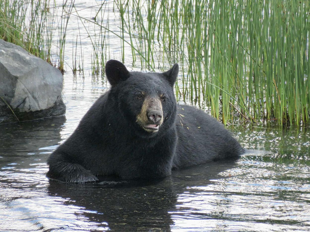 Cooling off