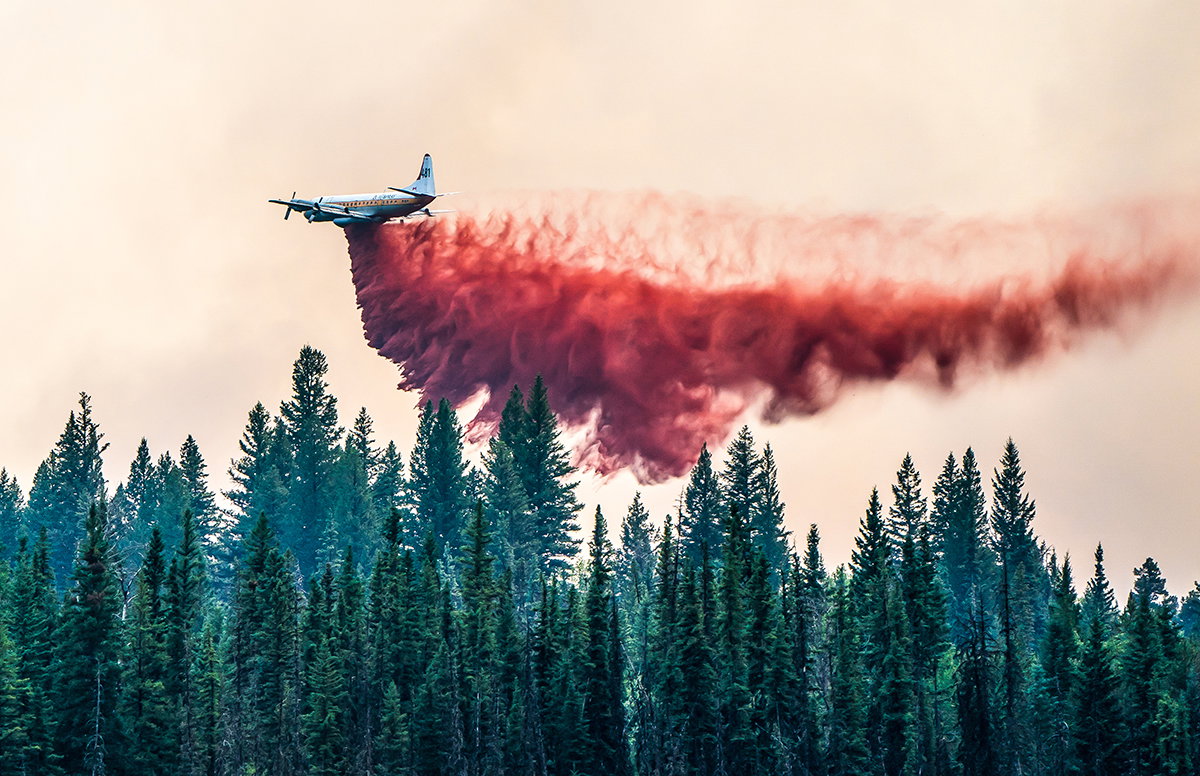 Current Fire Restrictions