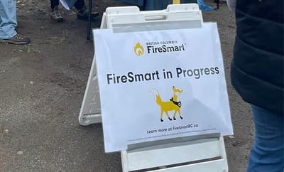 Firesmart