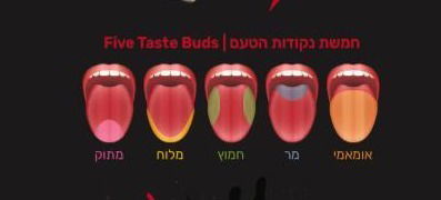 חמשת הטעמים שאנו חשים וההשלכות לעולם הסיגרים - סיגרים וטעמים