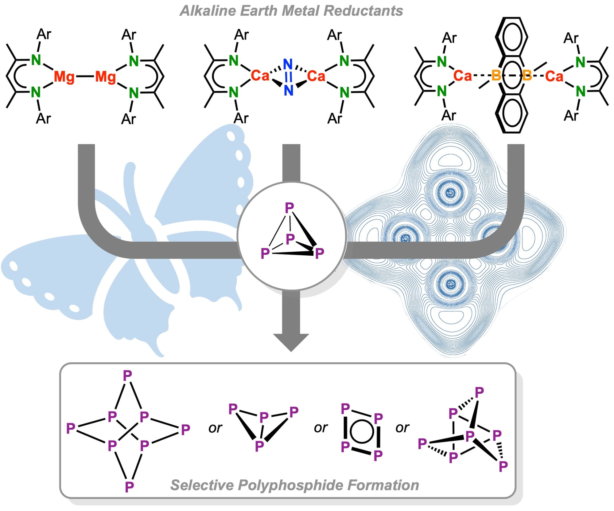 Tuning the Selectivity of P4 Reduction at Alkaline-Earth Metal Centres