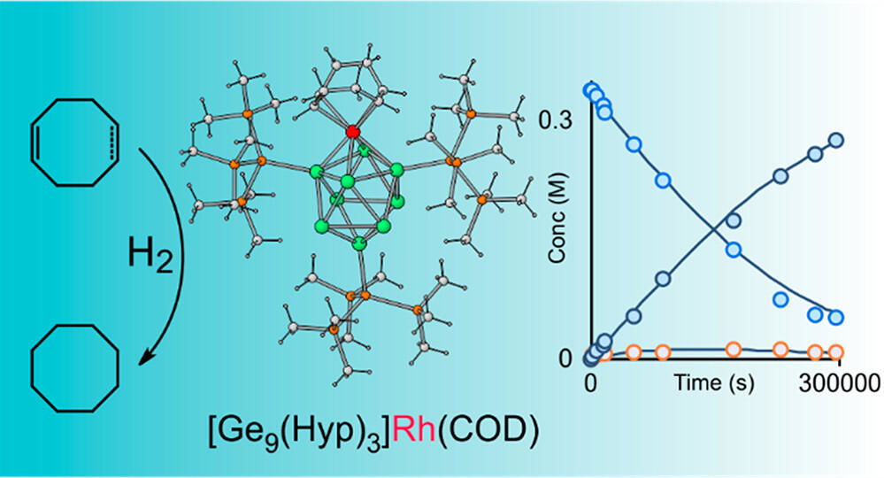 A Neutral Heteroatomic Zintl Cluster for the Catalytic Hydrogenation of Cyclic Alkenes