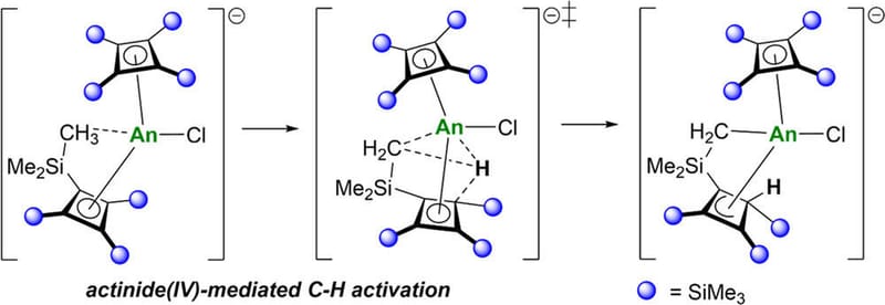 Thorium- and Uranium-Mediated C–H Activation of a Silyl-Substituted Cyclobutadienyl Ligand