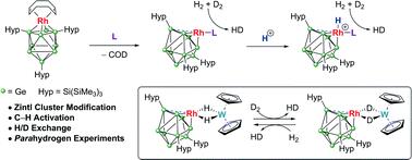 Zintl cluster supported low coordinate Rh(I) centers for catalytic H/D exchange between H2 and D2