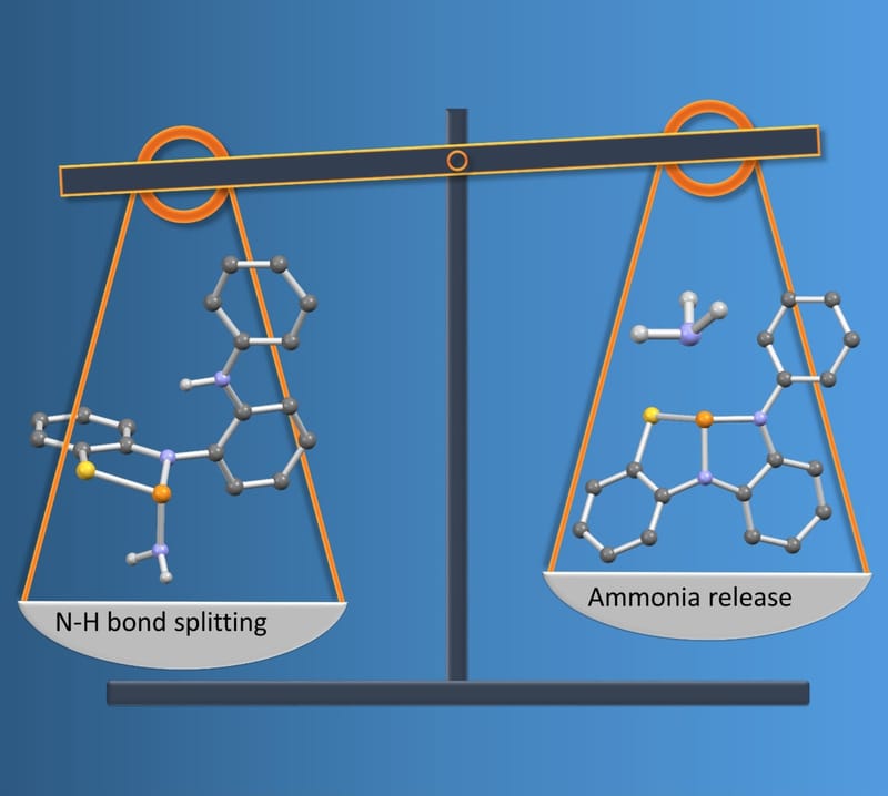 Thermoneutral N–H Bond Activation of Ammonia by a Geometrically Constrained Phosphine
