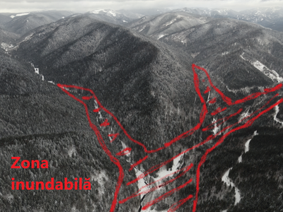 PL-x 14/2023 - lege cu risc major pentru biodiversitate: defrișări și baraje în inima ariilor protejate