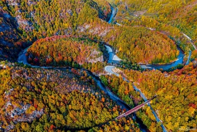 Scrisoare deschisă în legătură cu Planul de Management al Parcului Național Defileul Jiului