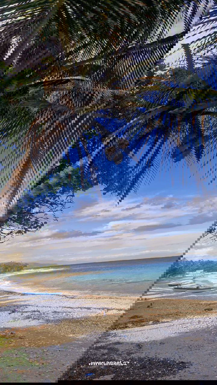 How to Find Larimar: A Rare Gemstone from the Dominican Republic