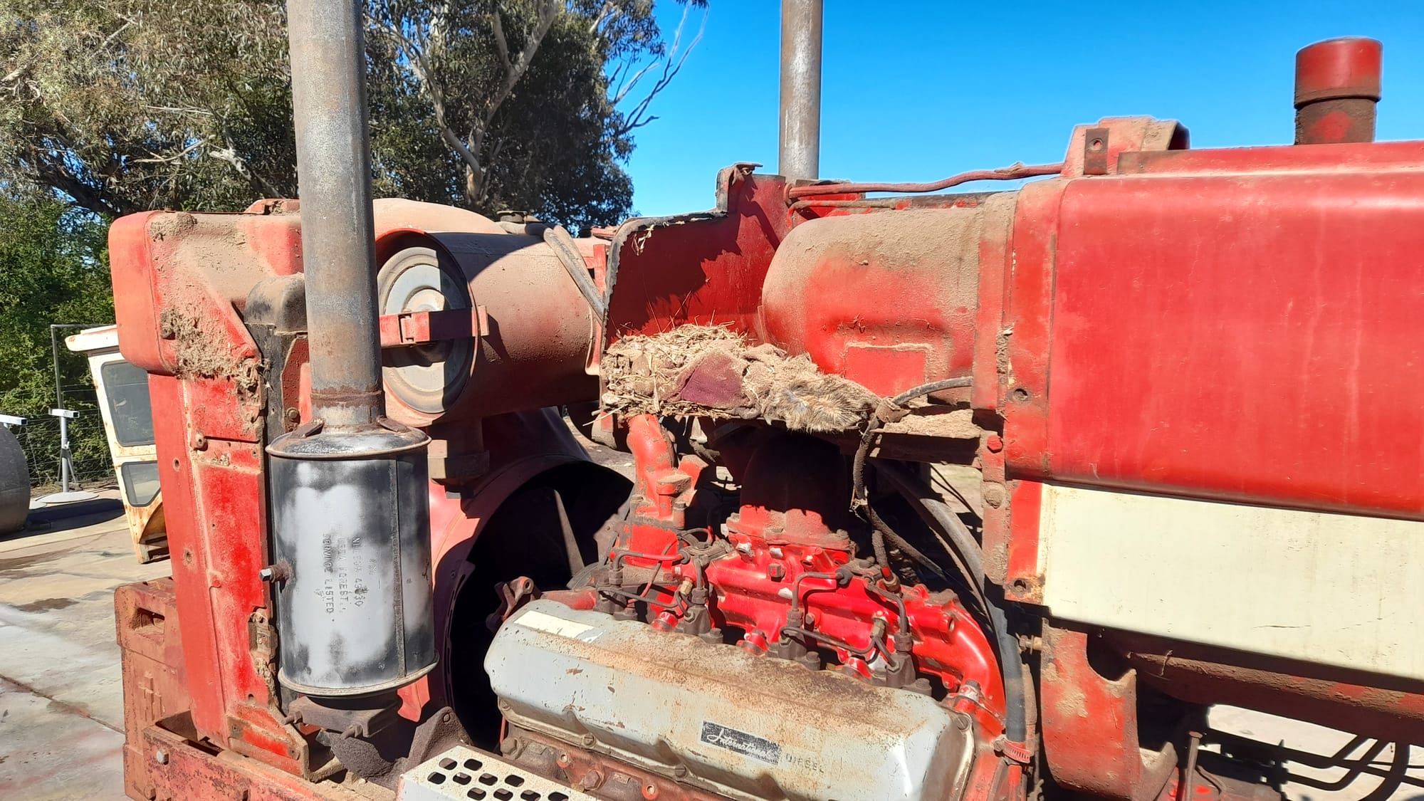 International 1468 V8