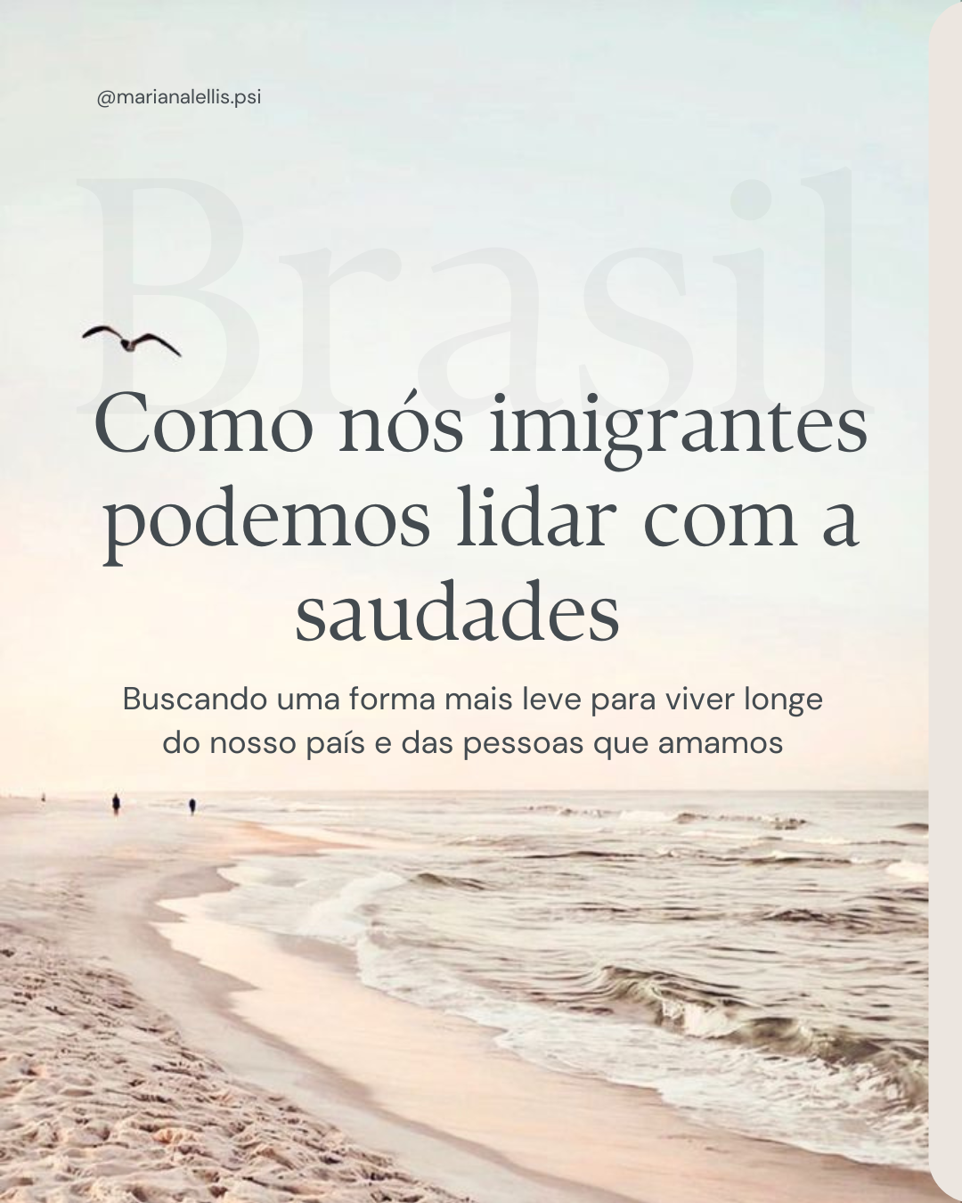 Imigrante e a Saudade do Brasil