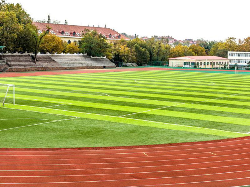 Sports Grounds &amp; Racetracks Greenery Service