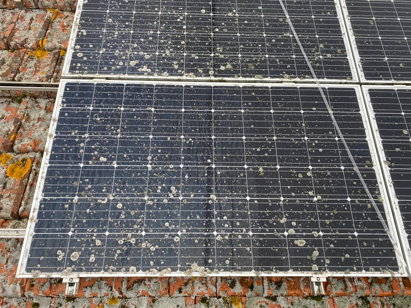 Traitement anti mousse et anti lichen