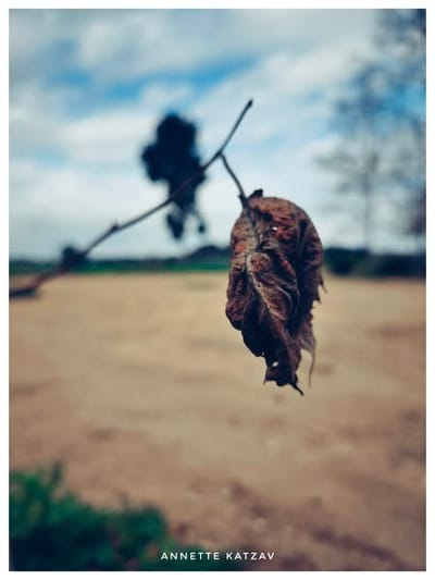 רגע בהתבוננות - חלק ב' . "הרס=יופי"