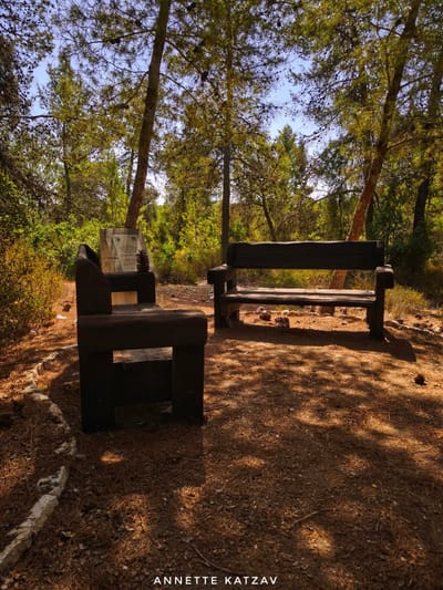 רגע בהתבוננות - חלק ג' "הספסל"