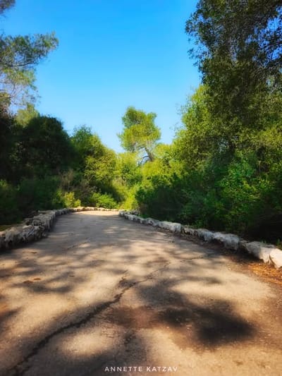 רגע של מחשבה - למילה הכתובה