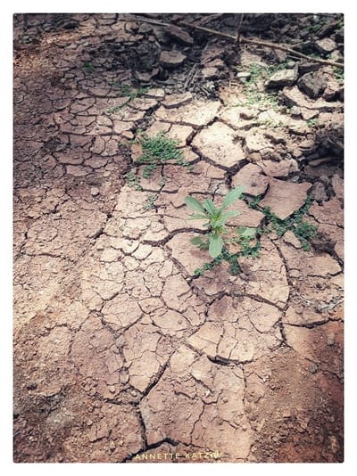 רגע בהתבוננות - סדקים