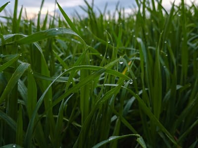 רגע התבוננות-איך צבע מרגיש?