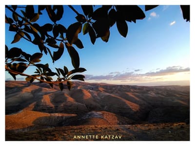 צל באומנות, בצילום ובמוסיקה