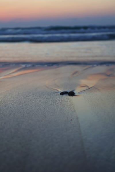 רגע התבוננות - מים