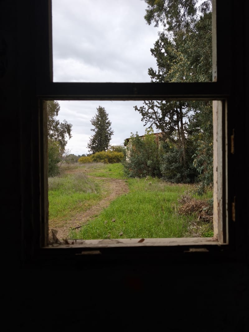 אם תפתחו את דלת הקסמים