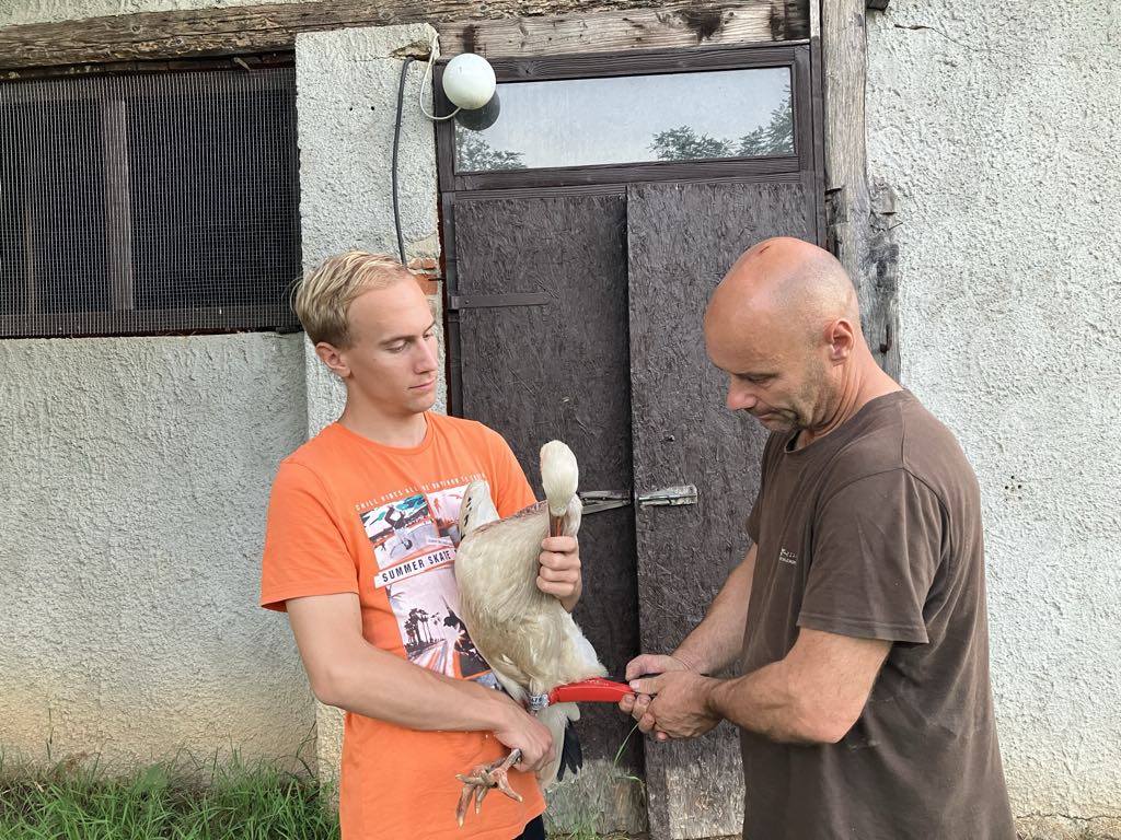 Természetes környezetben a végső búcsúig!