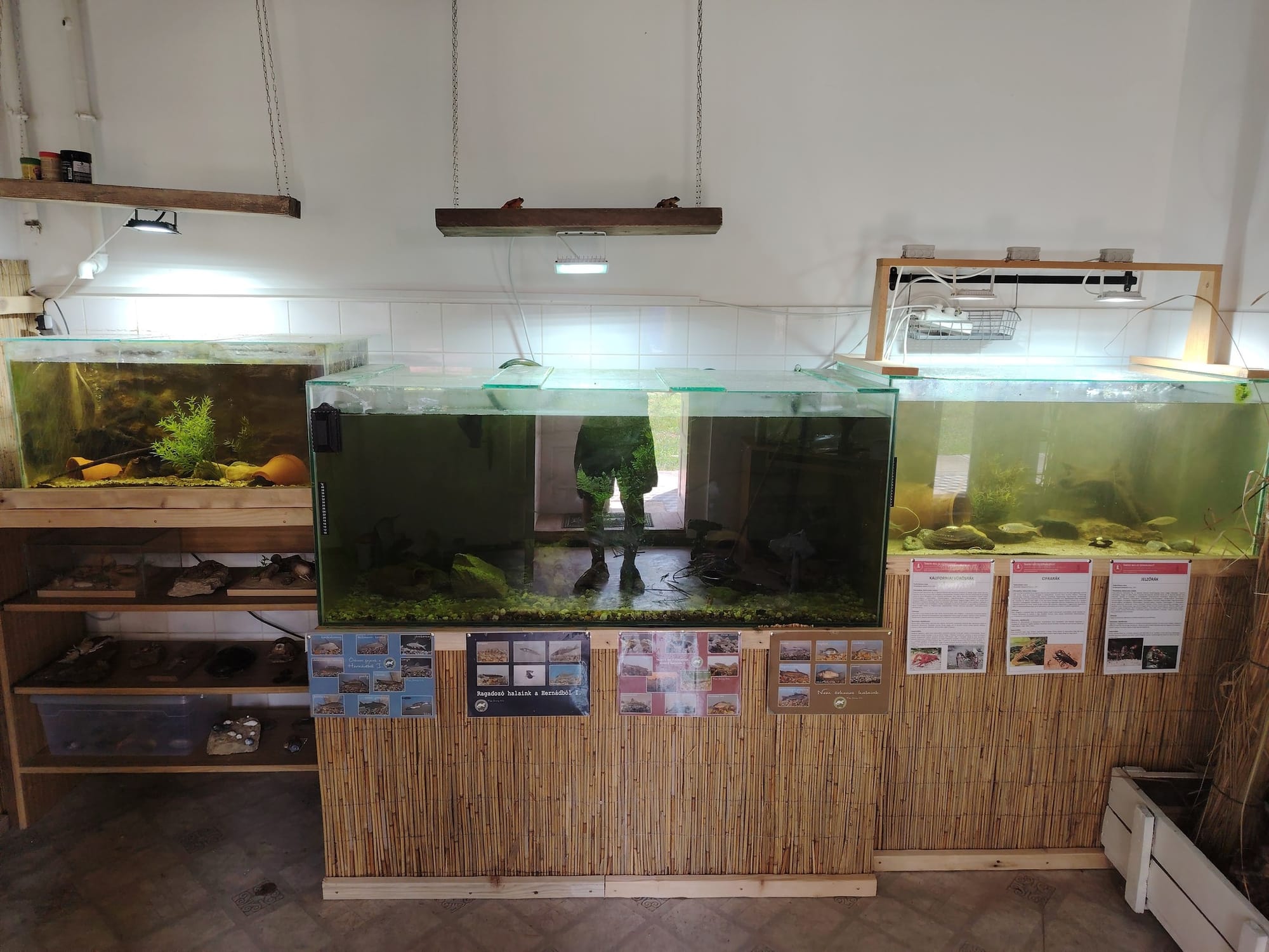 Természetbúvár termeink rendezése!