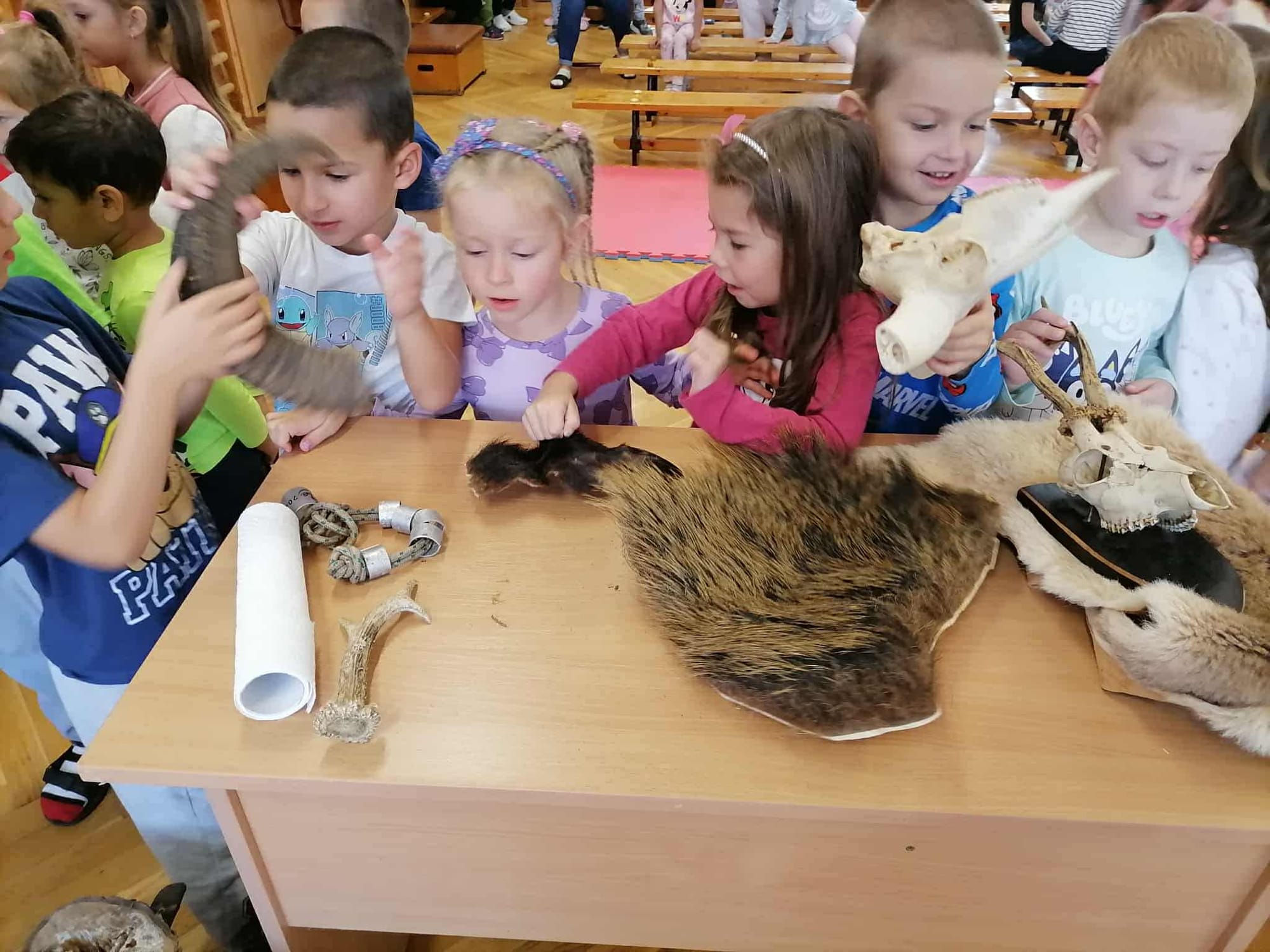 Állatok világnapja az óvodában!