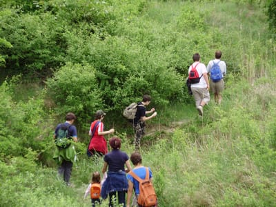 Madarak és Fák napja 2009.