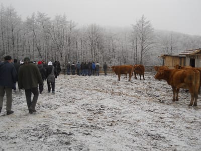 Fenntartható fogyasztás: Gazdaságlátogatás a Csonkás tanyán