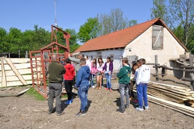 Fenntartható Fogyasztási és életpályaminták: Rendhagyó iskolai foglalkozások, gazdaságlátogatások, kiállítások
