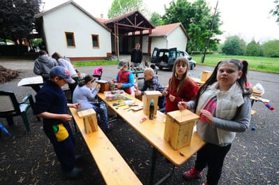Madarak és fák napja 2017