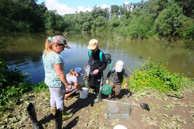 Madarak és fák napja 2018