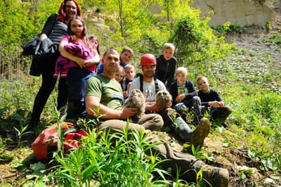 Madarak és fák napja 2019.
