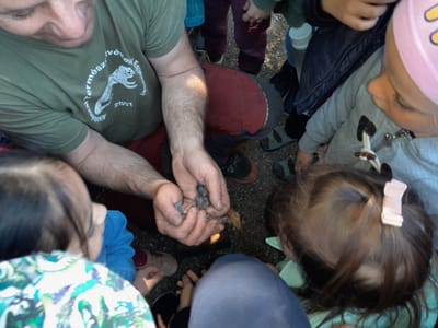 Madarak és fák napja 2022.