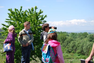 Madarak és fák napja 2008.