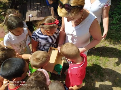 Fészekből kiesett zöldike