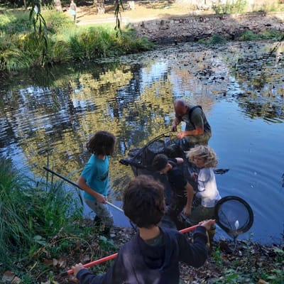Állatmentés a szerencsi várkert tóban