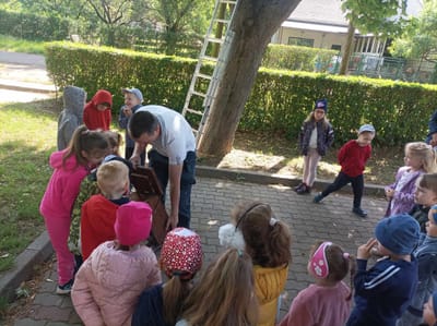 Madarak és fák napja