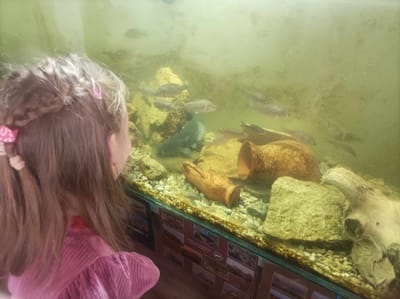 Halak napi roadeshow!