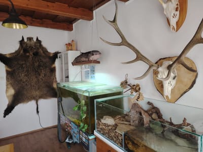 Közösségi ház berendezése