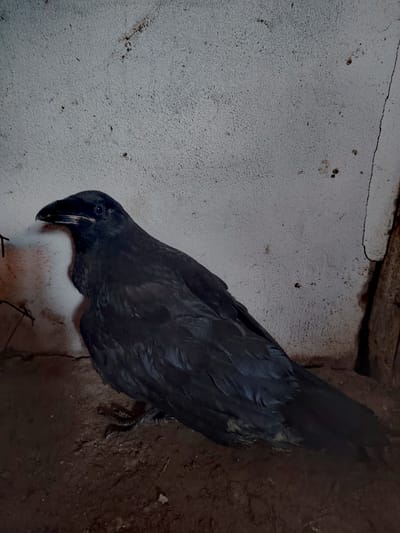 Amikor elmarad a Happy End!