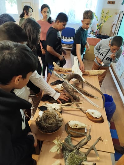 Madarak és fák napja Megyaszón!