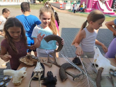 Játékosan a természetről!