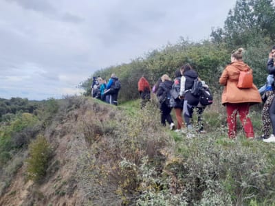 Visszatérő vendégek