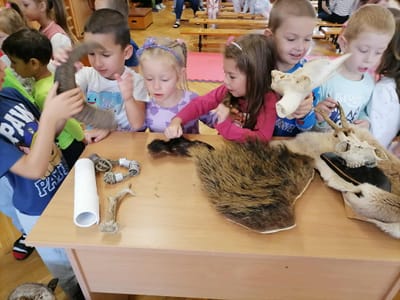 Állatok világnapja az óvodában!