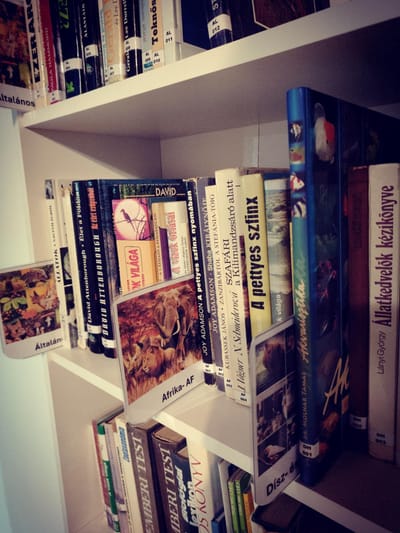 Könyvtár katalógus