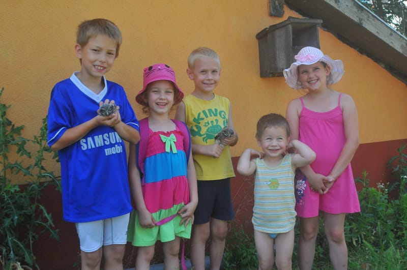 Alsódobszai gyerekek kuvik mentése!