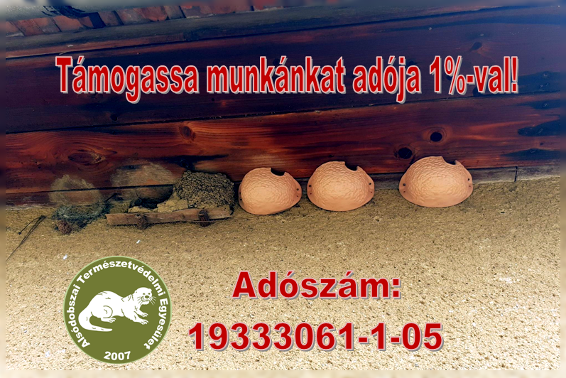 Pályázat fecskefészkekre!