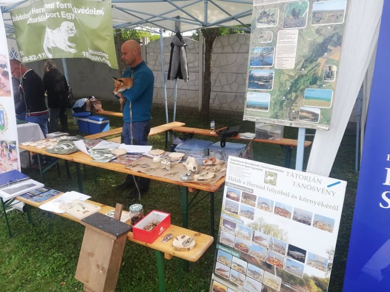 Standolás a megyei civil napon